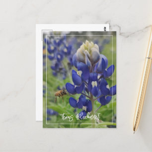 Texas Bluebonnet Briefkaart