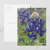 Texas Bluebonnet Briefkaart (Voorkant / Achterkant)