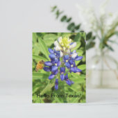 Texas Bluebonnet Briefkaart (Staand voorkant)