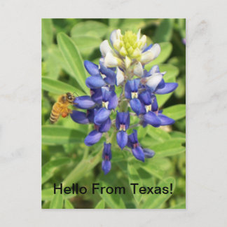 Texas Bluebonnet Briefkaart