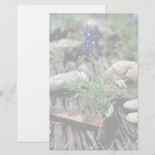 Texas Bluebonnet Briefpapier (Voorkant / Achterkant)
