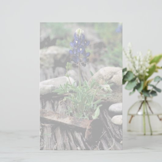 Texas Bluebonnet Briefpapier (Staand voorkant)