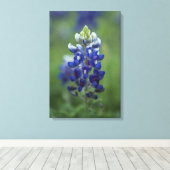 Texas Bluebonnet Canvas Afdruk (Insitu (Houten vloer))