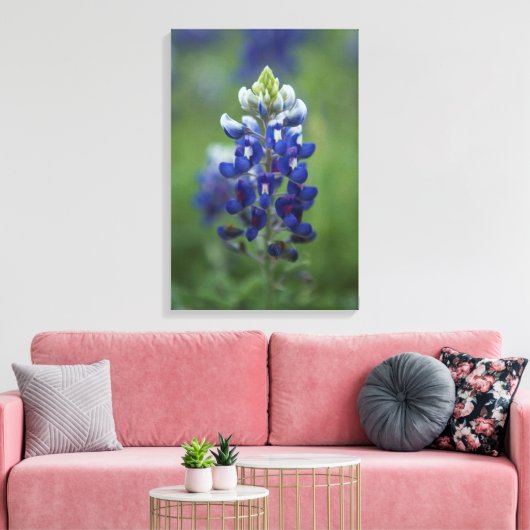 Texas Bluebonnet Canvas Afdruk (Insitu (Woonkamer))