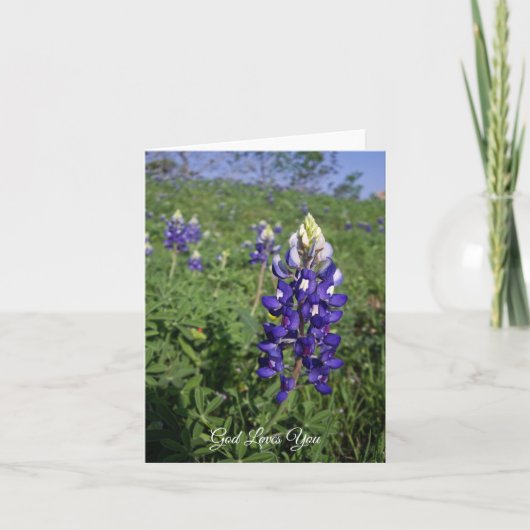 Texas Bluebonnet Christelijk John 3:16 Blank Insid Kaart (Voorkant)