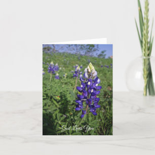 Texas Bluebonnet Christelijk John 3:16 Blank Insid Kaart