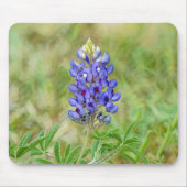 Texas Bluebonnet Flower Art Muismat (Voorkant)
