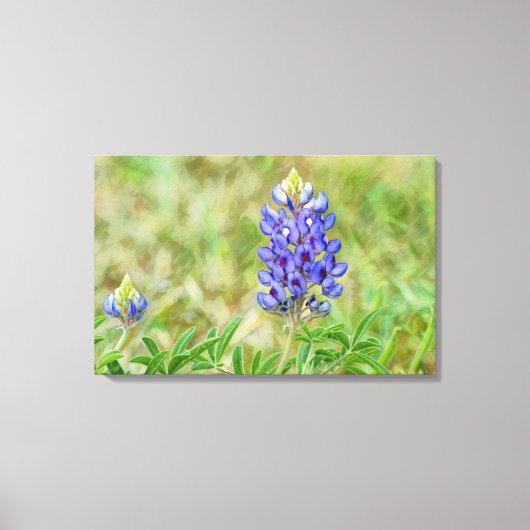 Texas Bluebonnet Flower Art Sluiten Canvas Afdruk (Voorkant)