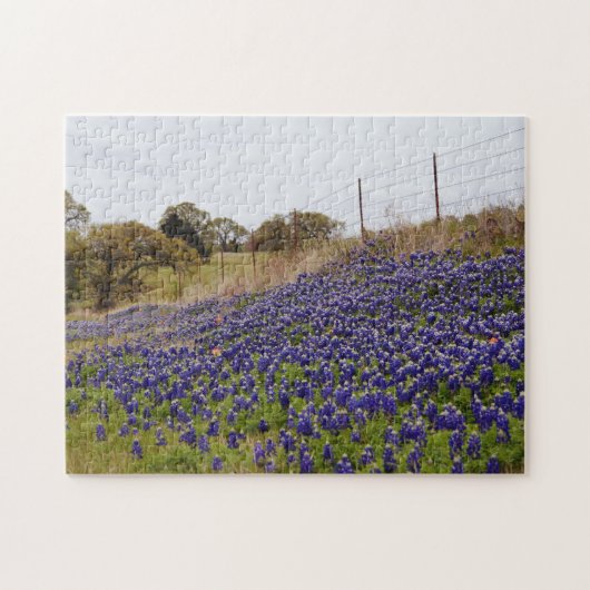 Texas Bluebonnet Flower Blue Flower Boerderij Puzz Legpuzzel (Horizontaal)