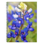 Texas Bluebonnet Flower Close-up Journal Notitieboek (Voorkant)
