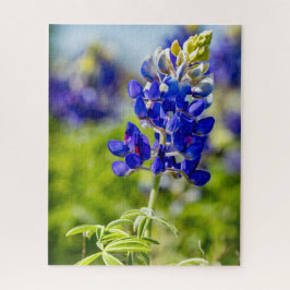 Texas Bluebonnet Flower Legpuzzel