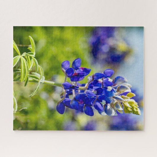 Texas Bluebonnet Flower Legpuzzel (Horizontaal)