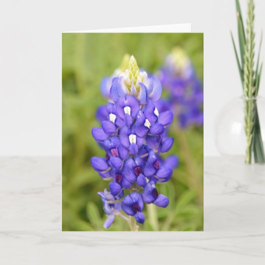 Texas Bluebonnet Flower Up Portrait Art Kaart (Voorkant)