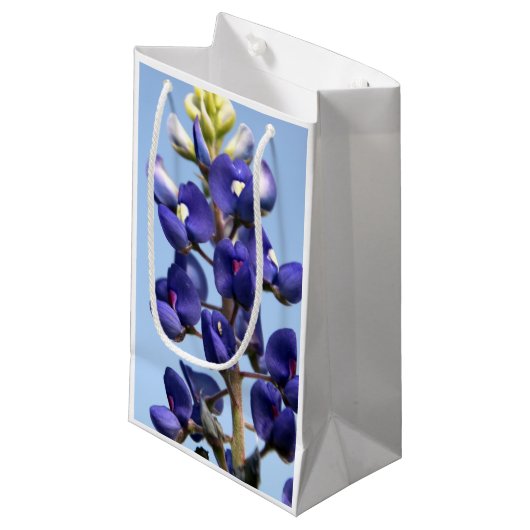 Texas Bluebonnet Gift Bag Klein Cadeauzakje (Voorkant Gekanteld)