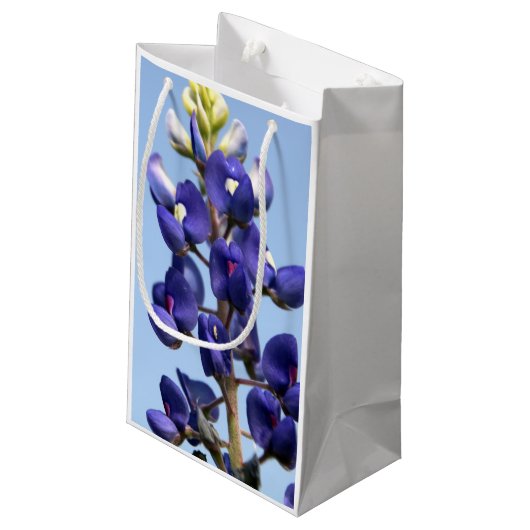 Texas Bluebonnet Gift Bag Klein Cadeauzakje (Achterkant Gekanteld)