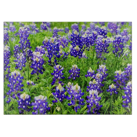 Texas bluebonnet glazen snijplaat snijplank (Voorkant)