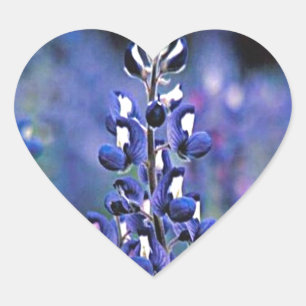 Texas Bluebonnet Hart Sticker