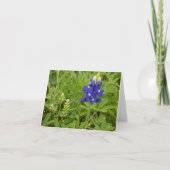 Texas Bluebonnet Kaart (Voorkant)