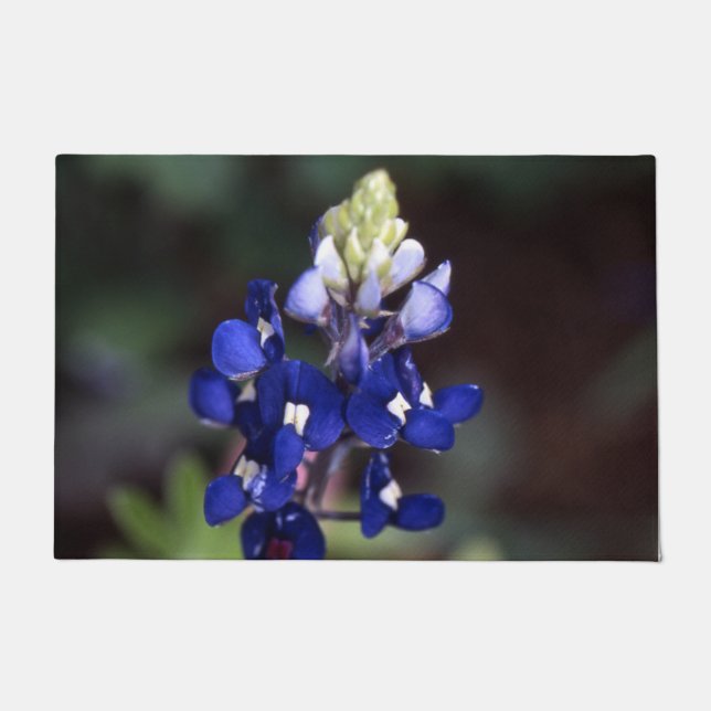 Texas Bluebonnet-klep Deurmat (Voorkant)