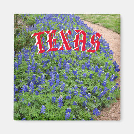 Texas bluebonnet magneet