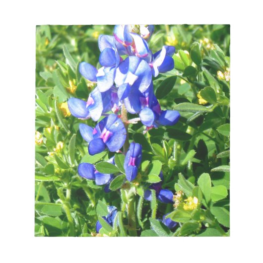 TEXAS BlueBonnet Notitieblok (Voorkant)