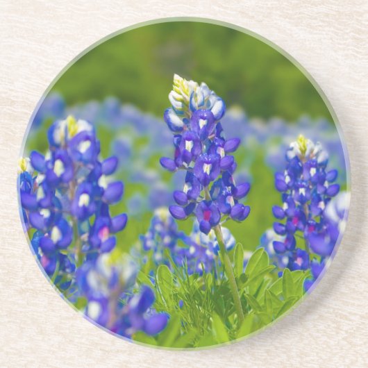 Texas Bluebonnet onderzetter (Voorkant)