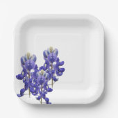 Texas Bluebonnet Paper Bord (Voorkant)