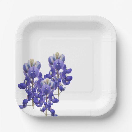 Texas Bluebonnet Paper Bord (Voorkant)
