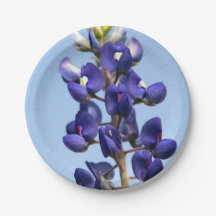 Texas Bluebonnet Paper Borden