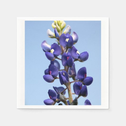 Texas Bluebonnet Papieren servetten (Voorkant)