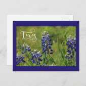Texas Bluebonnet Post Card Briefkaart (Voorkant / Achterkant)
