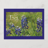 Texas Bluebonnet Post Card Briefkaart (Voorkant)