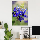 Texas Bluebonnet Poster (Thuiskantoor)