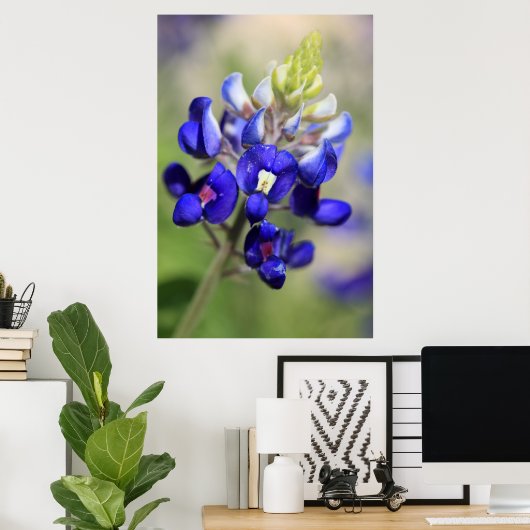 Texas Bluebonnet Poster (Thuiskantoor)