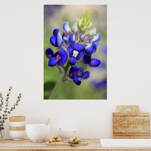 Texas Bluebonnet Poster (Keuken)
