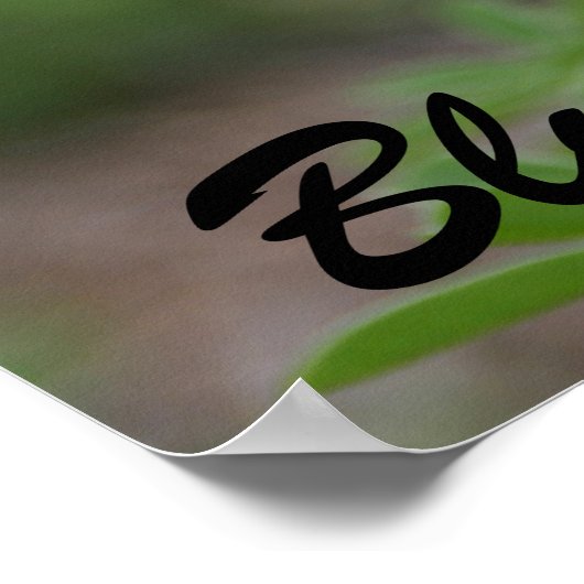 Texas, Bluebonnet Poster (Hoek)