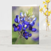 Texas Bluebonnet Poster Kaart (Gele Bloem)