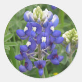 Texas Bluebonnet Ronde Sticker (Voorkant)