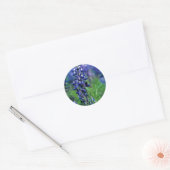 Texas Bluebonnet Ronde Sticker (Envelop)