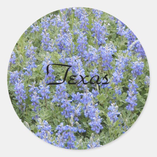 Texas bluebonnet sticker (Voorkant)