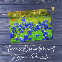 Texas Bluebonnet veld rustieke elegante