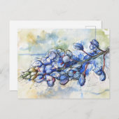 Texas Bluebonnet Waterverf Flower Briefkaart (Voorkant / Achterkant)