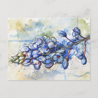 Texas Bluebonnet Waterverf Flower Briefkaart