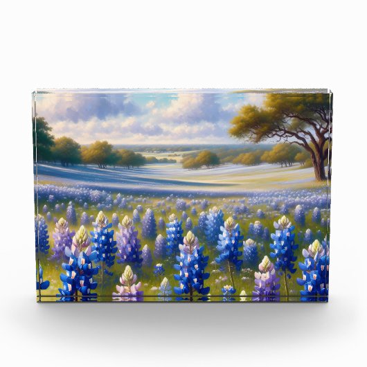 Texas Bluebonnet Weidelandschap Fotoblokken (Voorkant)