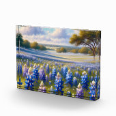 Texas Bluebonnet Weidelandschap Fotoblokken (Rechts)