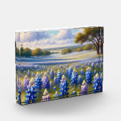 Texas Bluebonnet Weidelandschap Fotoblokken (Links)