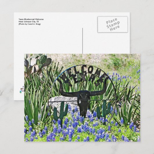 Texas Bluebonnet Welkom Briefkaart (Voorkant / Achterkant)