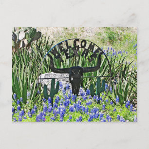 Texas Bluebonnet Welkom Briefkaart