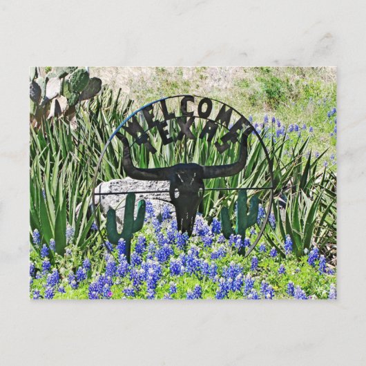 Texas Bluebonnet Welkom Briefkaart (Voorkant)