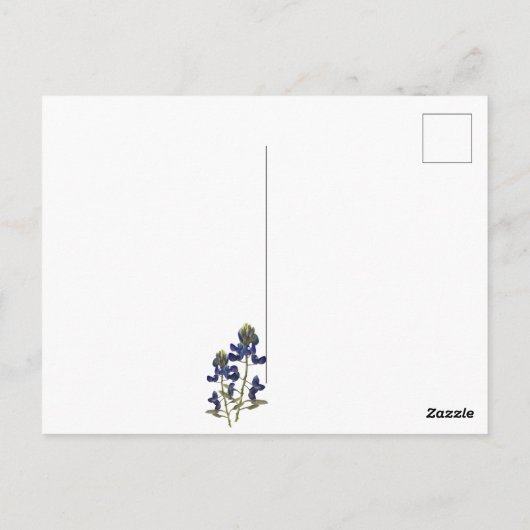 Texas Bluebonnet Wildflower Briefkaart (Achterkant)